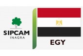 Sipcam Inagra Egipto